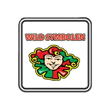 Wild symbolen kunnen andere symbolen vervangen